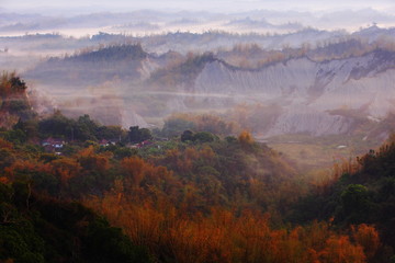 Amazing Beautiful cloud, fog and mist with yellow bamboo