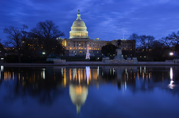 Washington DC - Capitol building and Christmas tree