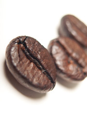 Close up Coffee Beans