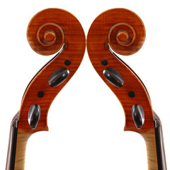 violoncelles