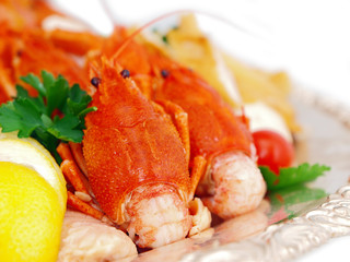 seafood and fish platter