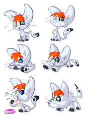 collection  of cute redhair cats