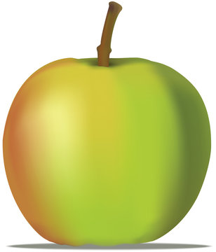 apple in vector