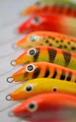 Fishing wobblers in row