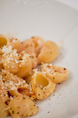 pasta conchiglie rosate