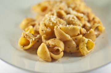 Pasta conchiglie rosate