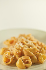 pasta conchiglie rosate