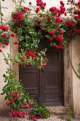 Fototapeta na wymiar Red roses door
