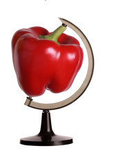 Obraz premium Red bell pepper in a bow