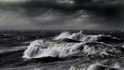 Waves