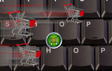 E-Commerce and the Computer Shopping.
