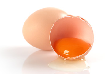 egg