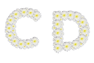 alphabet CD , White Flower isolated on white background