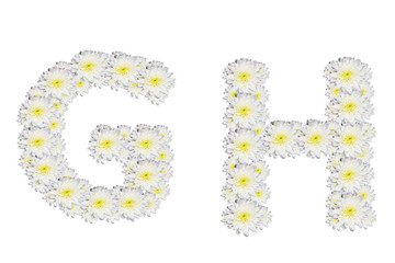 alphabet GH , White Flower isolated on white background