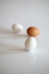 egg background