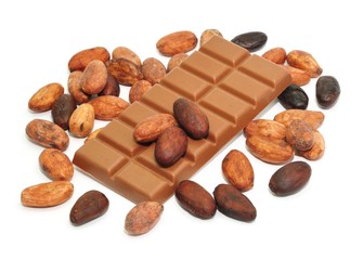 Schokoladentafel, Kakaobohnen