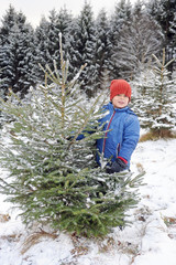 Ich such mir einen Christbaum