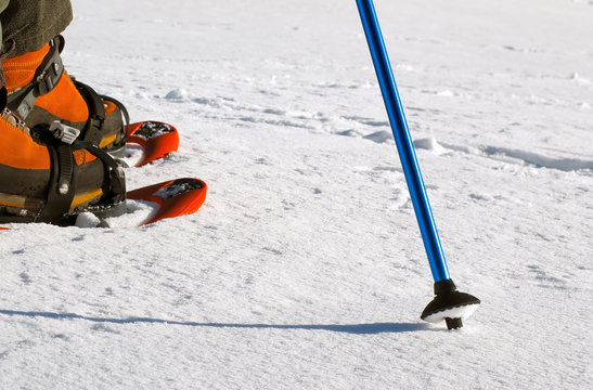 raquettes,neige,sport,savoie,station,hiver,la f&eacute;claz