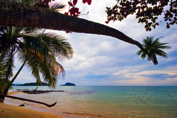 Exotic tropical beach.