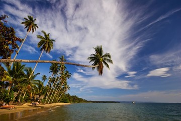 Exotic tropical beach.