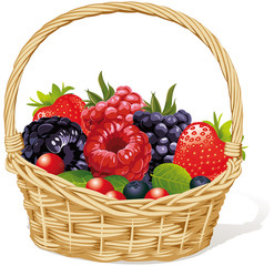 basket with berries