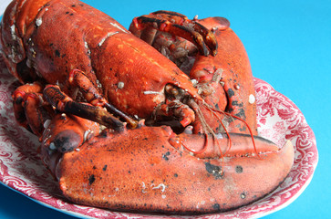 bogavante