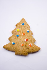 Lebkuchenbaum