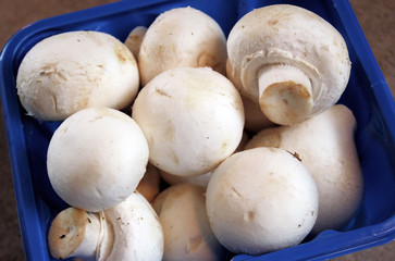 Mushrooms From The Supermarket