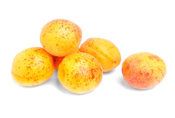 Apricot fruit isolated on white