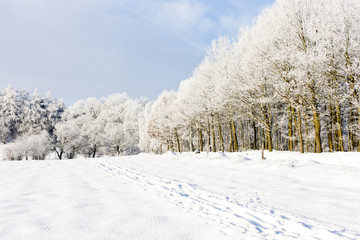 winter landscape, Czech Republic
