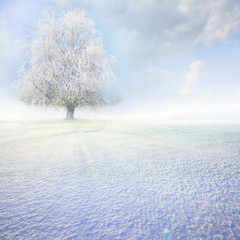 Winter landscape - 37891735