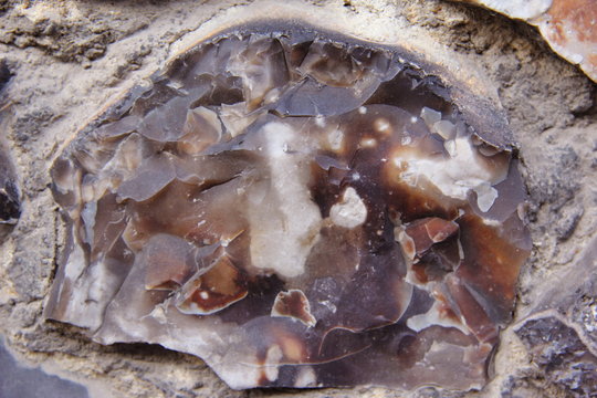 Feuerstein