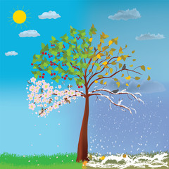 Four seasons tree