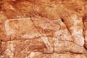 Foto op Plexiglas Rock paintings of Tassili N'Ajjer, Algeria © Dmitry Pichugin