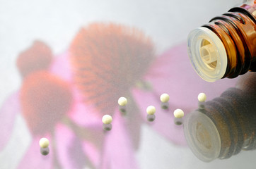 Echinacea