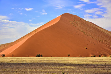 Fototapeta na wymiar a vast orange dune at Sossusvlei namib naukluft