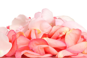 Obraz na płótnie Canvas beautiful pink rose petals isolated on white