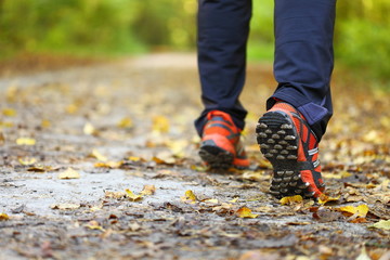 man walking cross country trail in autumn forest