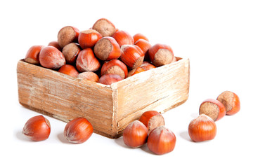 Obraz premium hazelnut