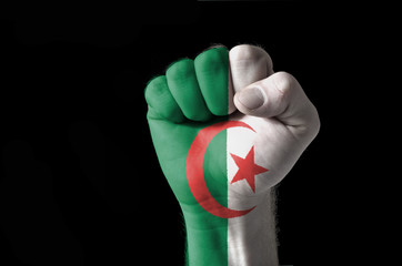 Fist painted in colors of algeria flag