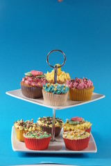 cupcakes colorés sur fond bleu