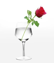 Glass of water and roses