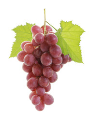 red grape