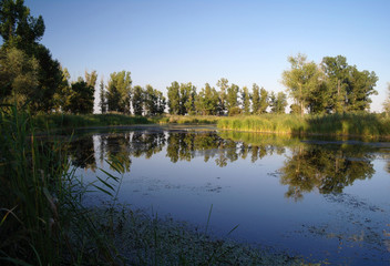 Fototapeta na wymiar Krajobraz rzeki, Rzeka