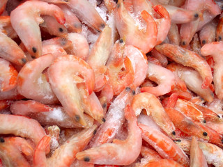 frozen shrimps