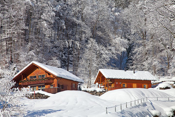 Winter in alps