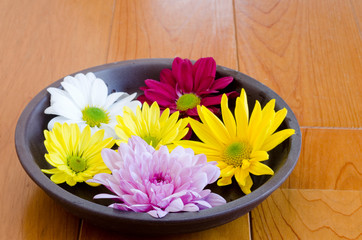 皿の上の小菊の花