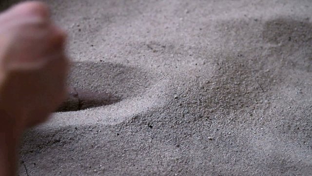 Freilegen eines Knochens mit einem Pinsel