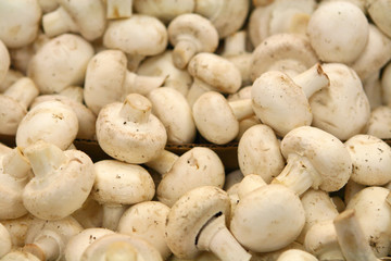 Mushrooms