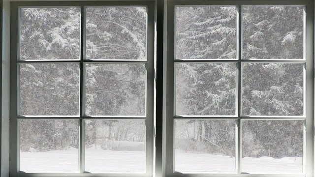 Winter wonderland
